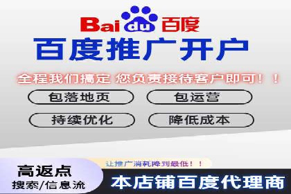 专业SEM服务托管方案案例分析